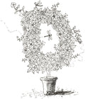 Letter D of Floral Topiary Alphabet Collection Note Cards