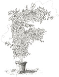 Letter F of Floral Topiary Alphabet Collection Note Cards