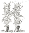 Letter H of Floral Topiary Alphabet Collection Note Cards