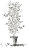 Letter I of Floral Topiary Alphabet Collection Note Cards