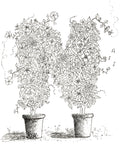 Letter N of Floral Topiary Alphabet Collection Note Cards