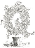 Letter Q of Floral Topiary Alphabet Collection Note Cards