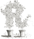 Letter R of Floral Topiary Alphabet Collection Note Cards