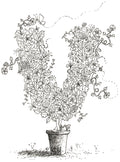 Letter V of Floral Topiary Alphabet Collection Note Cards