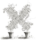 Letter X of Floral Topiary Alphabet Collection Note Cards